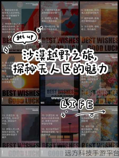 无人区编码6229Jm：探索无人区6229Jm的神秘与魅力之旅