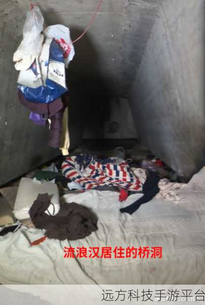 流浪汉把我拉进桥底免费阅读