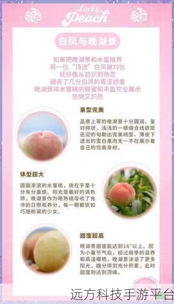 久久99精品久久久水蜜桃的功能介绍:1. "探索久久99精品水蜜桃的独特滋味与健康益处