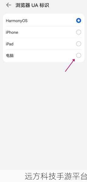 探索电脑 QQ 特别关心提示的奇妙世界