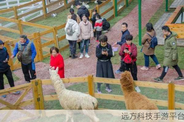 饥饿动物园安卓版v1.3.1,消除与萌宠的奇妙碰撞