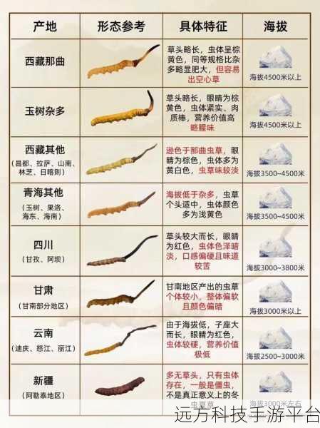 一产区与二产区的产品区别:1. 一产区与二产区产品特征的深度解析