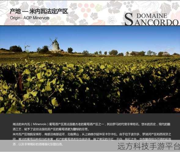 51精产区一区一区三区