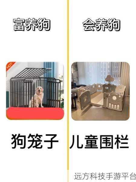 小女孩把第一次给狗的有吗:1. 小女孩与狗的第一次亲密接触