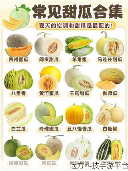 往期回顾 必吃大瓜:1. 往期回顾:大瓜盛宴不可错过的美食推荐