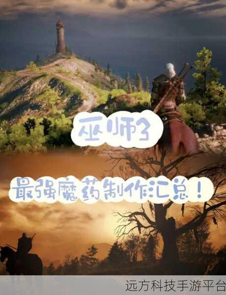 巫师三万能溶剂和矮人烈酒：1. 《巫师三之炼金术：探索万能溶剂的奥秘