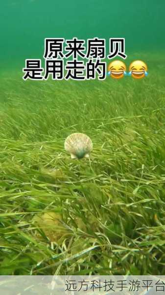 一人 上面 下感扇贝水蜜桃：1. 心灵深处的扇贝与水蜜桃交响