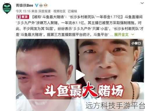 斗鱼主播鱼丸提现的那些事儿,你清楚吗?