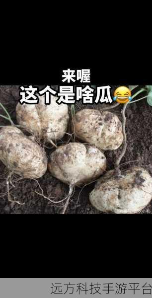 51热门大瓜今日大瓜:1. 今日大瓜:明星八卦再掀波澜,内幕曝光引关注