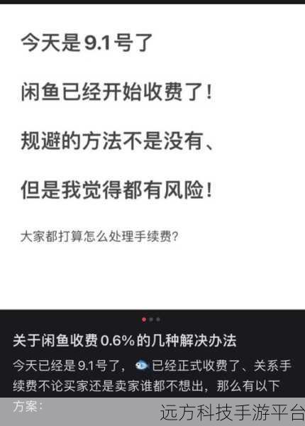 闲鱼与转转，可靠性大揭秘与终极抉择