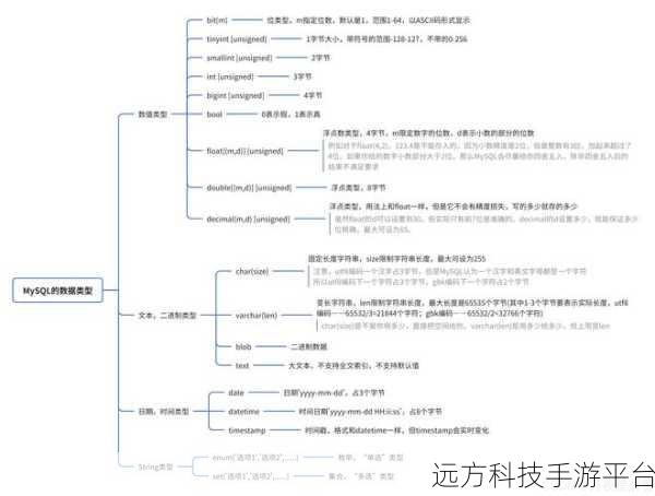 探索 MySQL 数据类型的神秘世界，轻松驾驭数据库