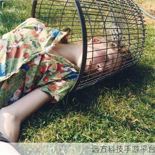 wwwxxx中国人：当然可以！以下是一些基于“wwwxxx中国人”的新标题建议，每个不少于10个字：