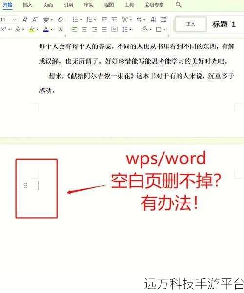 轻松搞定 Word 空白页删除难题，你学会了吗？
