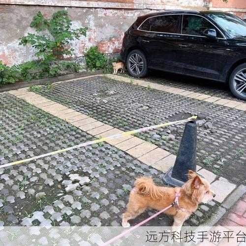 玩人狗大战的实现方法:1. "人狗大战:探寻宠物与主人之间的默契