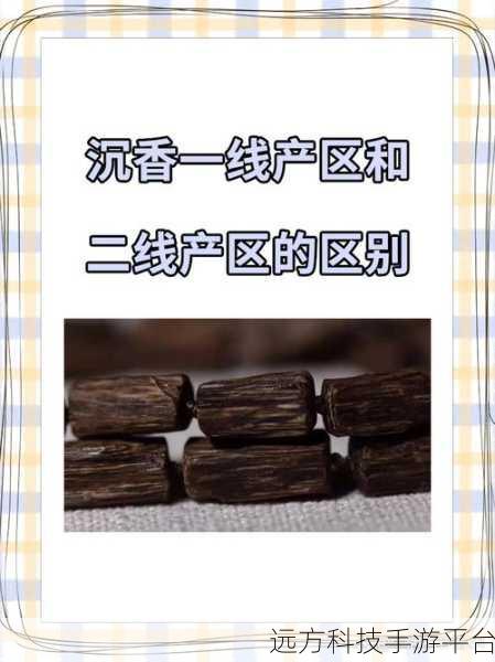 国一线产区和二线：1. ＂国一线产区的魅力与二线市场潜力