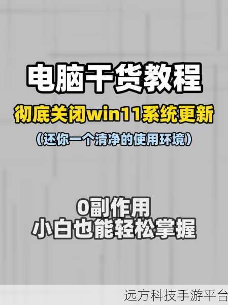 掌握 Win11 高级启动,解锁电脑隐藏技能