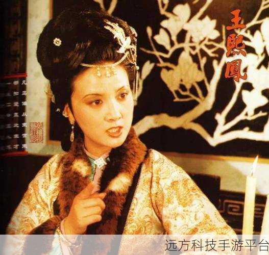 贾宝玉王熙凤轿中大战第六回：梦中争斗：贾宝玉与王熙凤的情感较量