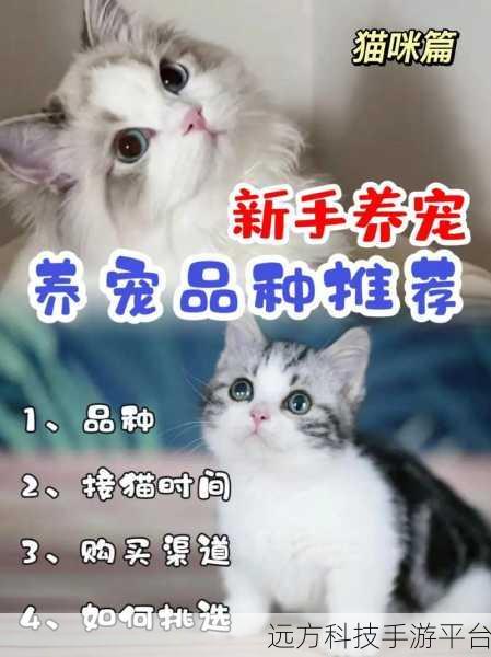 天天爱萌宠新版上线，萌宠养成，乐趣无限的休闲新选择