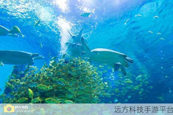 赛哥迷你海洋冒险1.4安卓版清新上线,探索海底世界的悠闲之旅