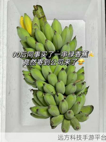 香蕉视频入口:当然可以!以下是一些关于香蕉视频的标题建议,每个都不少于10个字: