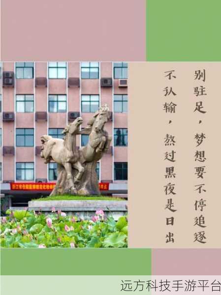 浙大 MBA 毕业，开启人生无限可能