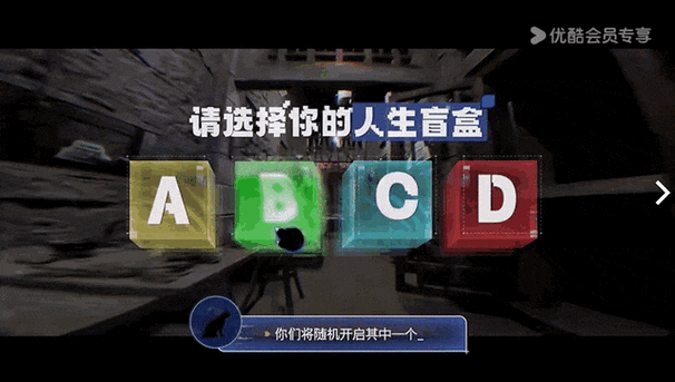 盒子里的猫2，萌化心灵的休闲益智新选择