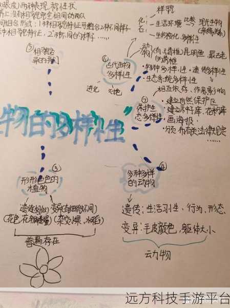 希微尔的繁殖计划:1. 希微尔的繁殖计划:探索生物多样性的未来之路