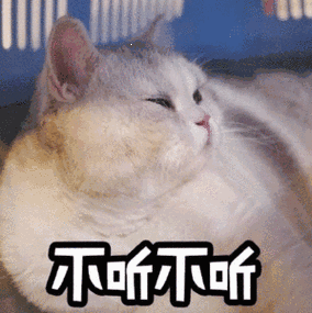 RTX 动态表情包为何在对方那静止?原因大揭秘!