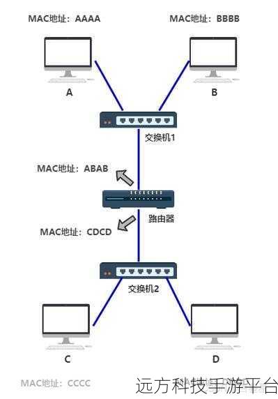 轻松搞定 MAC 地址与 IP 地址的绑定秘籍