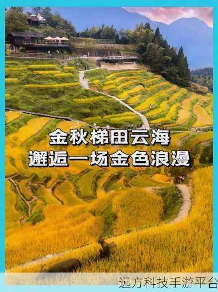 唯美邂逅,光·遇——一场心灵的艺术之旅