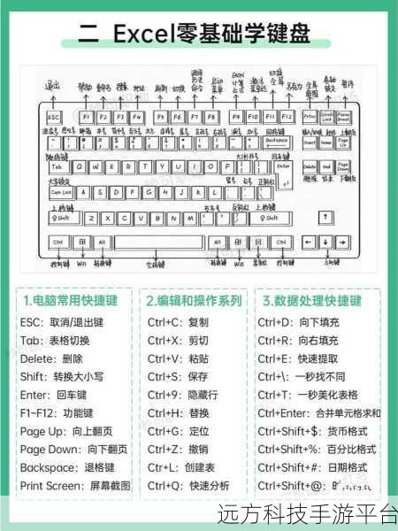 轻松上手,制作简单 Excel 表格的实用秘籍