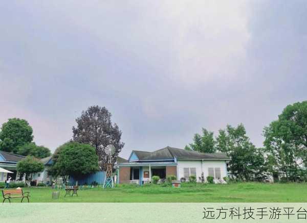 探寻照片左下角轻颜二字背后的秘密