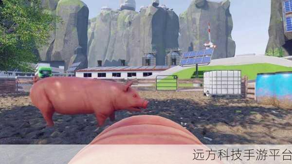 小猪模拟器，探索农场趣味的动物模拟新体验