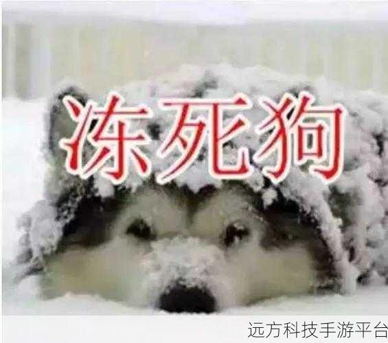 人狗胶配方大全免费天气预报:1. 人狗胶配方大全:打造完美宠物护理方案