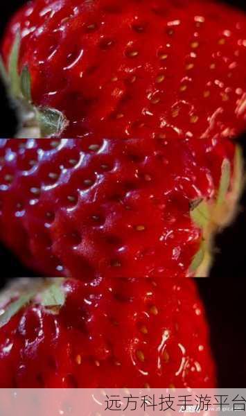 草莓视频vip:1. 草莓视频VIP:畅享高清影视盛宴
