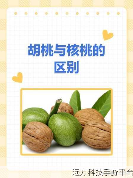 胡桃被挤出白色汁液：1. 胡桃汁液的秘密：营养与风味探寻
