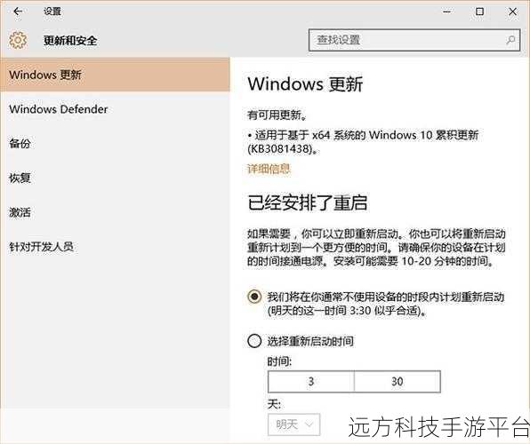 Win10 系统更新补丁下载速度掌控秘籍