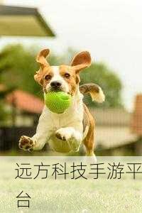 波波向上跳,轻松上手,挑战无限跳跃乐趣