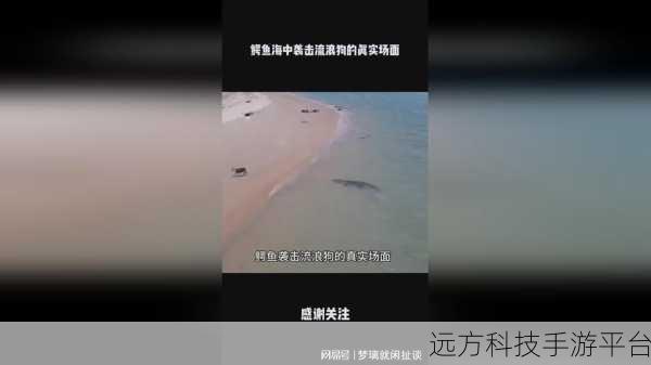17ccc吃瓜爆料-免费吃：1. 17ccc吃瓜爆料：揭秘那些你不知道的真相！