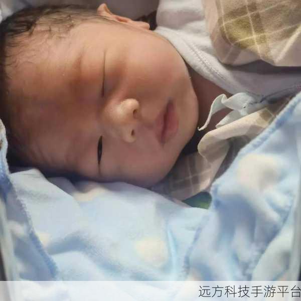 八寸长的大宝贝:1. 八寸长的大宝贝:小巧精致的生活伴侣