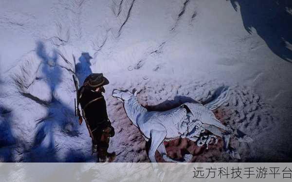 广西公园里的老年镖客:1. 《广西公园中的老年镖客:岁月与智慧的交织