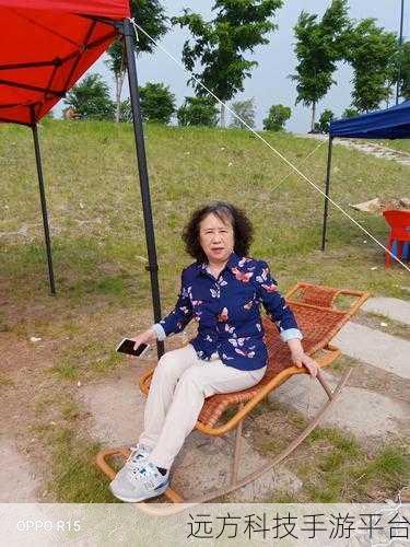 哈尔滨老阿姨最后的巅峰:1. 哈尔滨老阿姨的巅峰人生与奋斗故事
