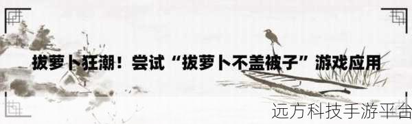 拔萝卜打牌不盖被子：1. 拔萝卜、打牌与盖被子：生活中的趣味组合
