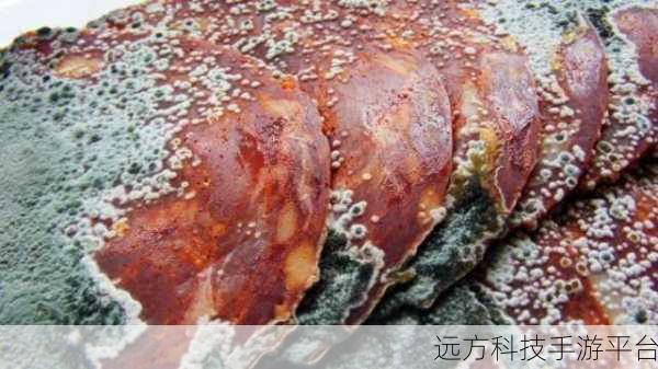 有车车的腐肉网入口：1. 有车车的腐肉网：探索新鲜美食与奇特风味