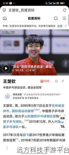 王楚钦蔡振华:王楚钦与蔡振华:乒坛新星的崛起之路
