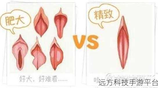 羞羞免费网页登界面入口:1. "探索羞羞免费网页:畅享无限精彩内容的入口