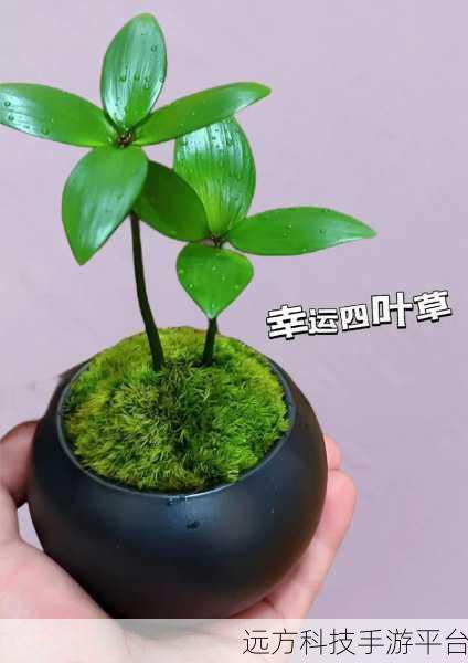 四叶草研究所入口隐藏2024版:1. 四叶草研究所2024:探索未知的神秘入口