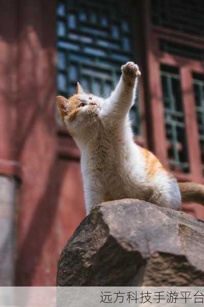 猫与朋友,萌宠跳跃,欢乐无限,快来下载体验!