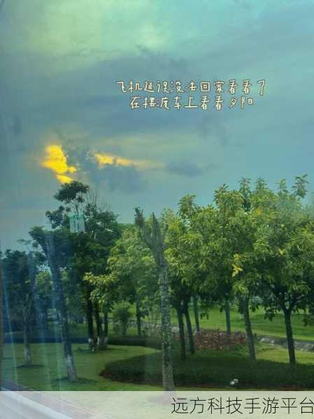 yp99999永久回家:1. “归属与温暖:探索yp99999的永久回家之旅”