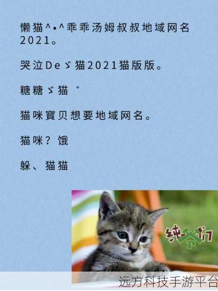 by19777最新地域网名是什么